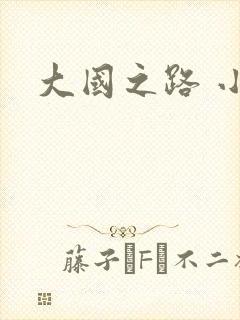 大国之路 小说