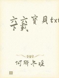 六六宝贝txt下载