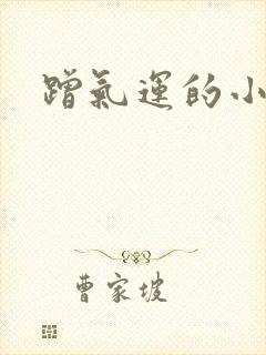 蹭气运的小娇妻