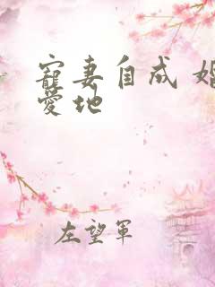 宠妻自成 婚天爱地