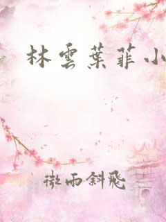 林云叶菲小说