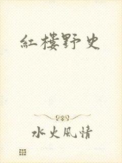 红楼野史