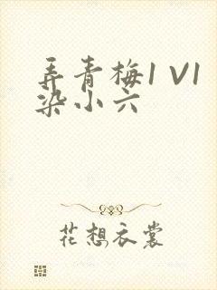 弄青梅1 V1染小六