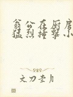 翁公在厨房和我猛烈撞击小说