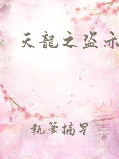 天龙之盗亦有道