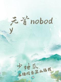 元首nobody