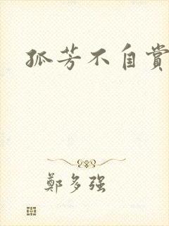 孤芳不自赏小说