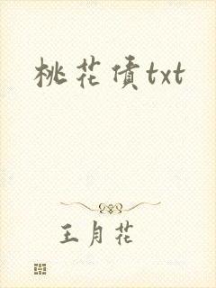 桃花债txt
