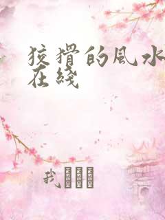 狡猾的风水相师在线