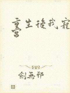 重生后我宠冠东宫