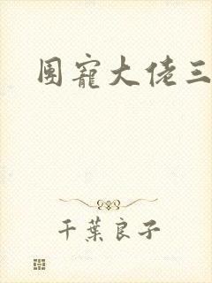 团宠大佬三岁半