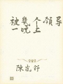 被几个领导玩弄一晚上