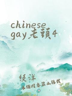 chinesegay老头4