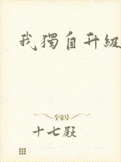 我独自升级小说