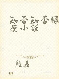知否知否绿肥红瘦小说