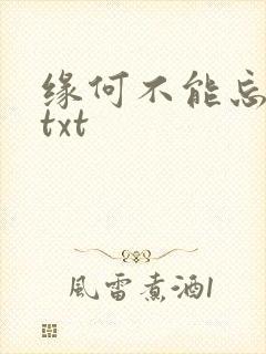 缘何不能忘记你txt