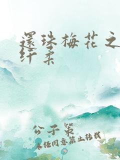 还珠梅花之绕指纤柔