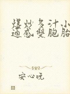 爆炒多汁小美人通感双胞胎