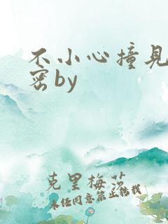不小心撞见的秘密by