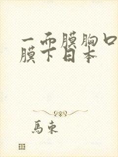 一面膜胸口一面膜下日本