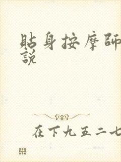 贴身按摩师 小说