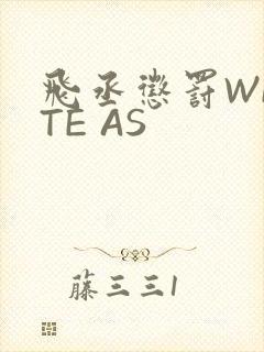 飞丞惩罚WRITE AS