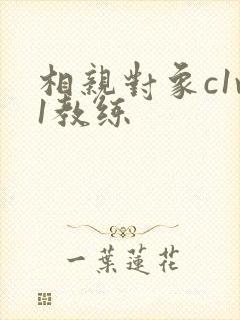 相亲对象c1v1教练