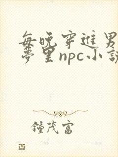 每晚穿进男神的梦里npc小说