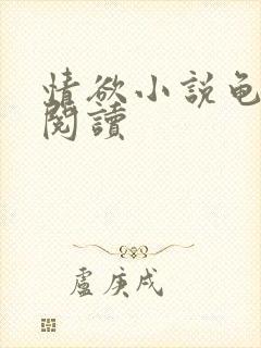 情欲小说龟全文阅读