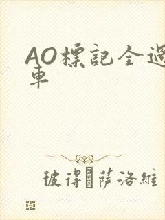 AO标记全过程车