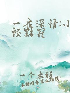 一夜深情:小叔轻点宠