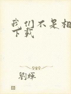 我们不是相爱吗下载
