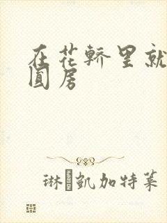 在花轿里就开始圆房