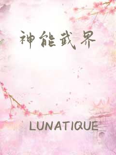 神能武界