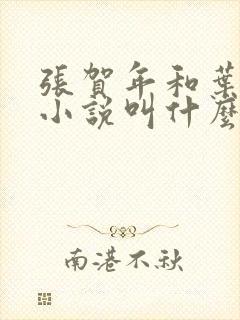 张贺年和叶繁姿小说叫什么名字