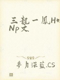 三龙一凤H啪肉Np文