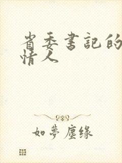 省委书记的秘密情人