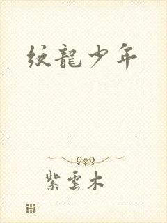 纹龙少年