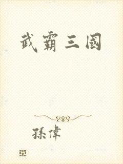 武霸三国