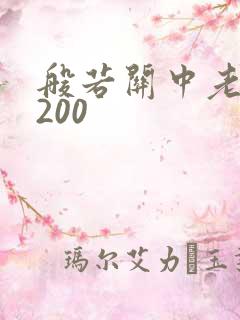 般若关中老人5200