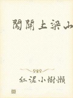 闯关上梁山李颖