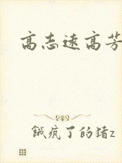 高志远高芳