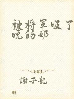 被将军吸了一整晚的奶