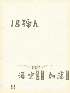 18号h