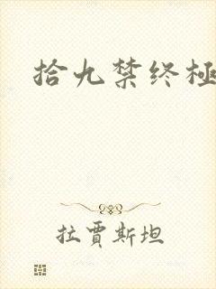 拾九禁终极直播
