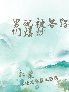 男配被各路大佬们爆炒