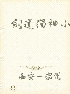 剑道独神小说