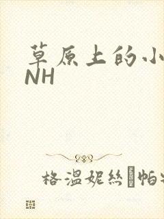 草原上的小公主NH