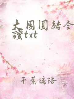 大团圆结全文阅读txt