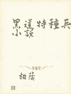 黑道特种兵有声小说